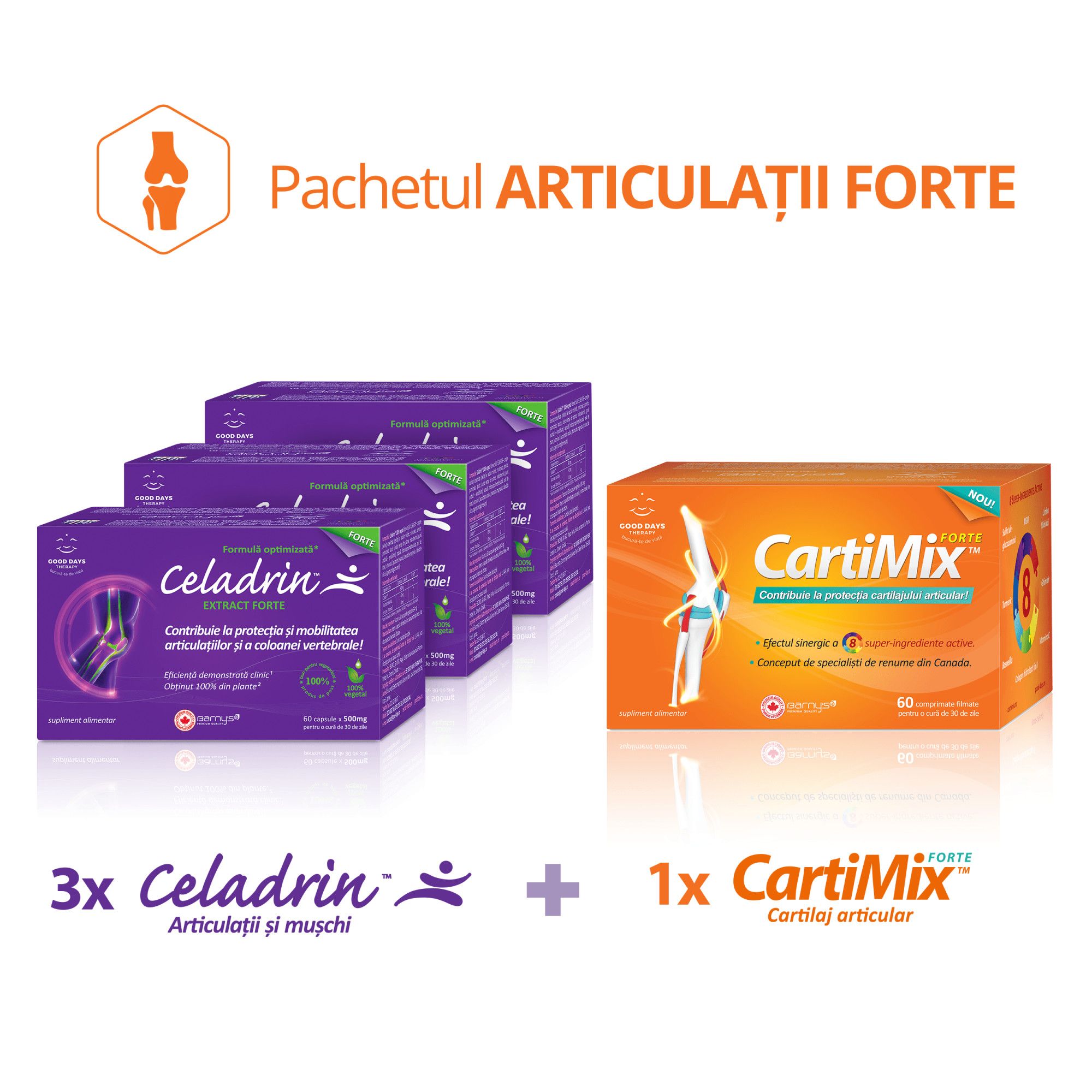Cartimix Forte pentru protecția cartilajului articular, 60 comprimate