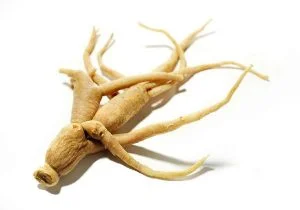 Read more about the article Mult îndrăgitul Siberian Ginseng