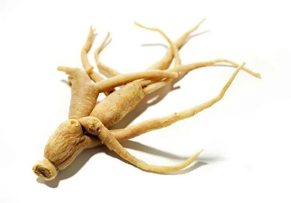 You are currently viewing Mult îndrăgitul Siberian Ginseng