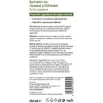 Sampon Anti-cadere cu Usturoi si Ghimbir, contribuie la prevenirea caderii parului Intensifica regenerarea radacinii 250 ml Cosmetic Plant – imagine 2